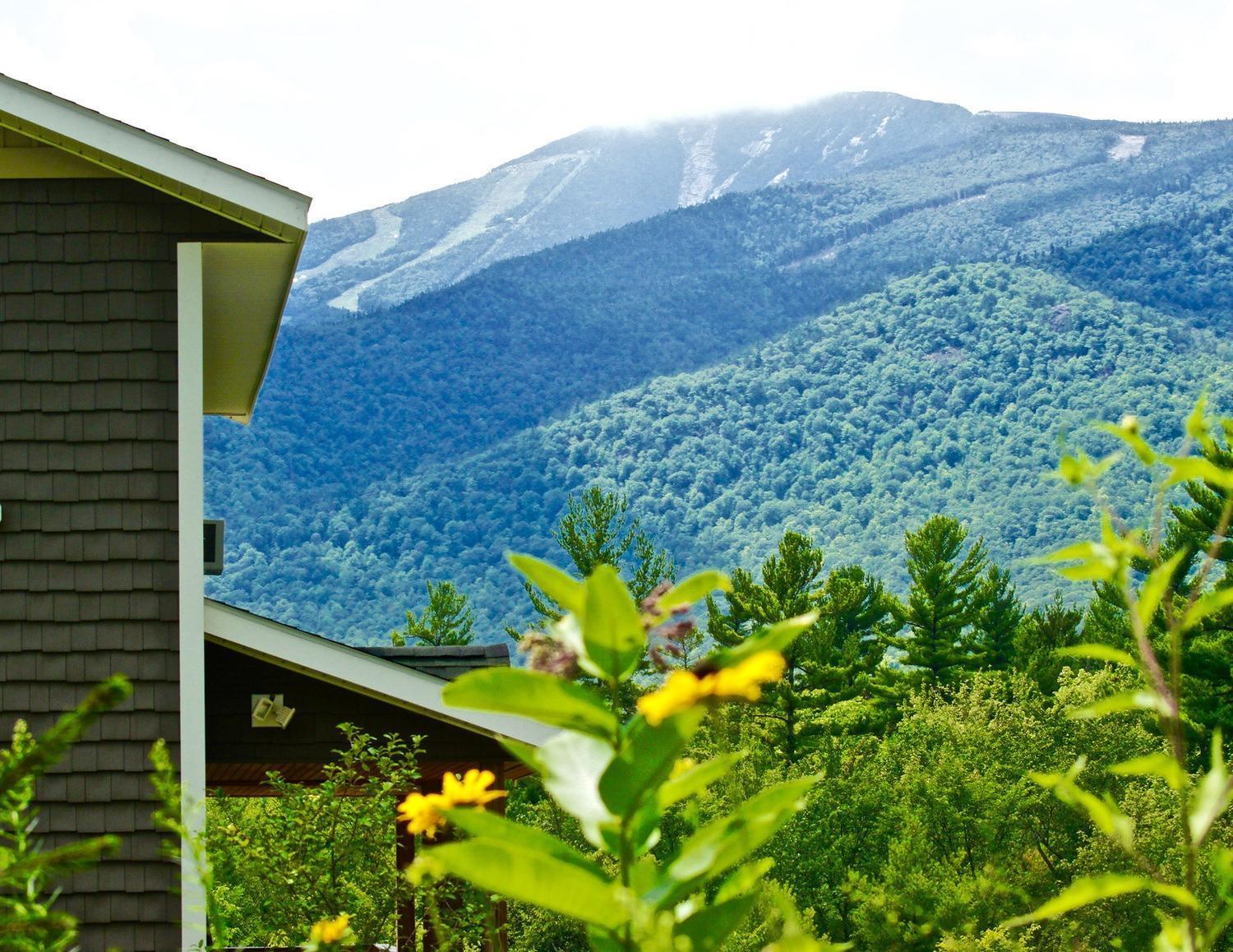 ウィルミントン Lookout Mountain Chaletヴィラ エクステリア 写真